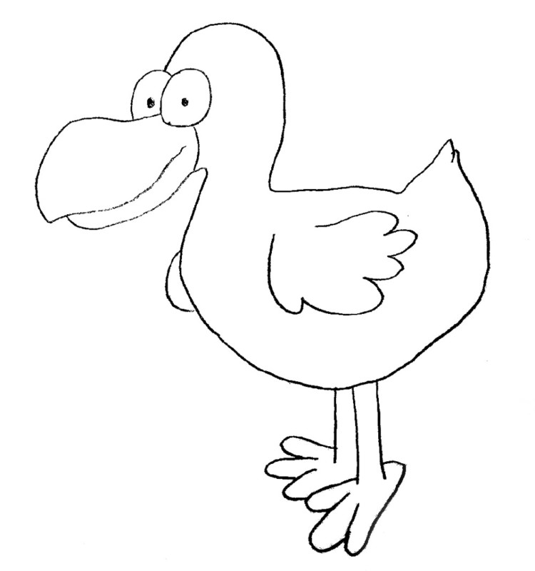 Iikan piirtämä dodo.