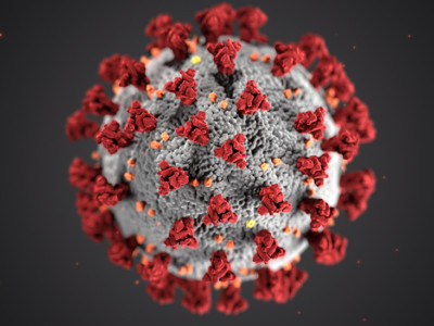 Koronavirus