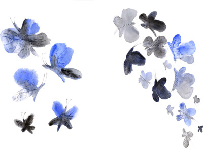Perhosia kuvaava akvarellimaalaus