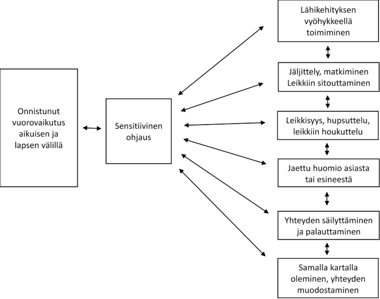 Havainnollistava kuvio. Vasemmalla laatikko, jossa lukee "Onnistunut vuorovaikutus aikuisen ja lapsen välillä". Laatikosta lähtee oikealle yksi molemminsuuntainen nuoli laatikkoon, jossa lukee "Sensitiivinen ohjaus". Tästä jälkimmäisestä laatikosta lähtee eteenpäin kuusi molemminsuuntaista nuolta, jotka osoittavat kuuten eri laatikkoon. Laatikoissa lukee järjestyksessä ylhäältä alaspäin: "Lähikehityksen vyöhykkeellä toimiminen", "Jäljittely, matkiminen. Leikkiin sitouttaminen", "Leikkisyys, hupsuttelu, leikkiin houkuttelu", "Jaettu huomio asiasta tai esineestä", "Yhteyden säilyttäminen ja palauttaminen", "Samalla kartalla oleminen, yhteyden muodostaminen".