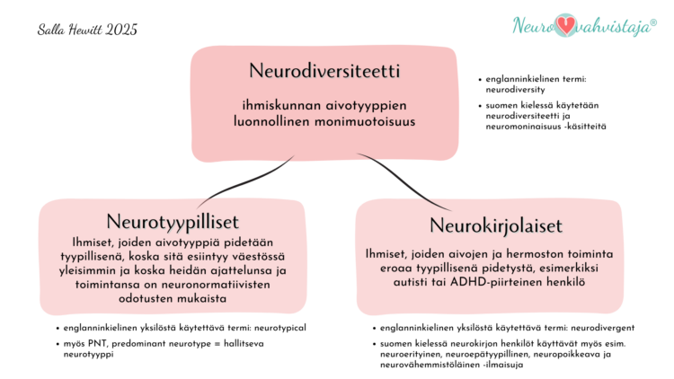 Kuvassa kuvaillaan neurodiversiteettiä, joka jakautuu neurotyypillisiksi ja neurokirjolaisiksi.