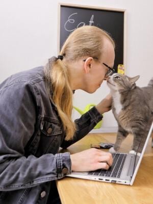 Pitkätukkainen mies istuu keittiötason ääressä tietokoneella, kissa on pöydällä ja nuuhkii miestä.