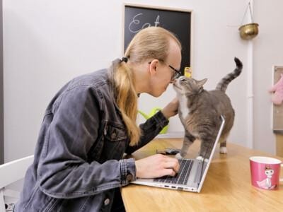Pitkätukkainen mies istuu keittiötason ääressä tietokoneella, kissa on pöydällä ja nuuhkii miestä.