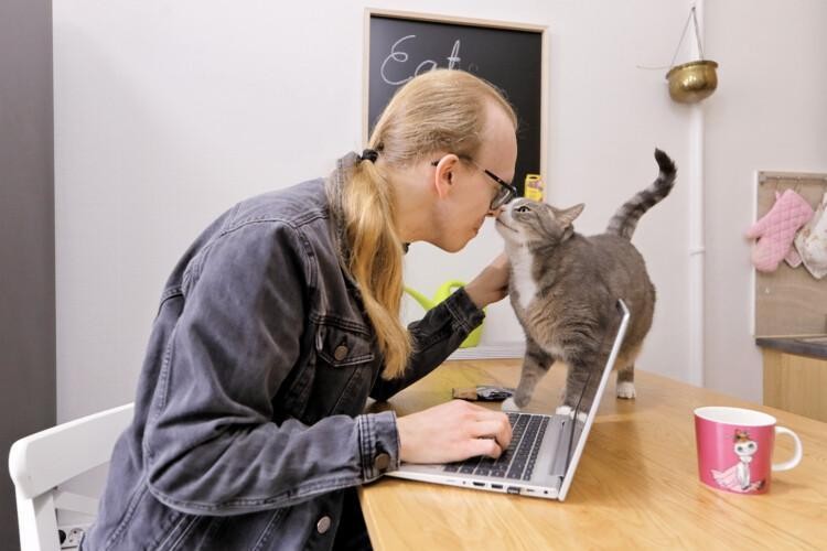 Pitkätukkainen mies istuu keittiötason ääressä tietokoneella, kissa on pöydällä ja nuuhkii miestä.